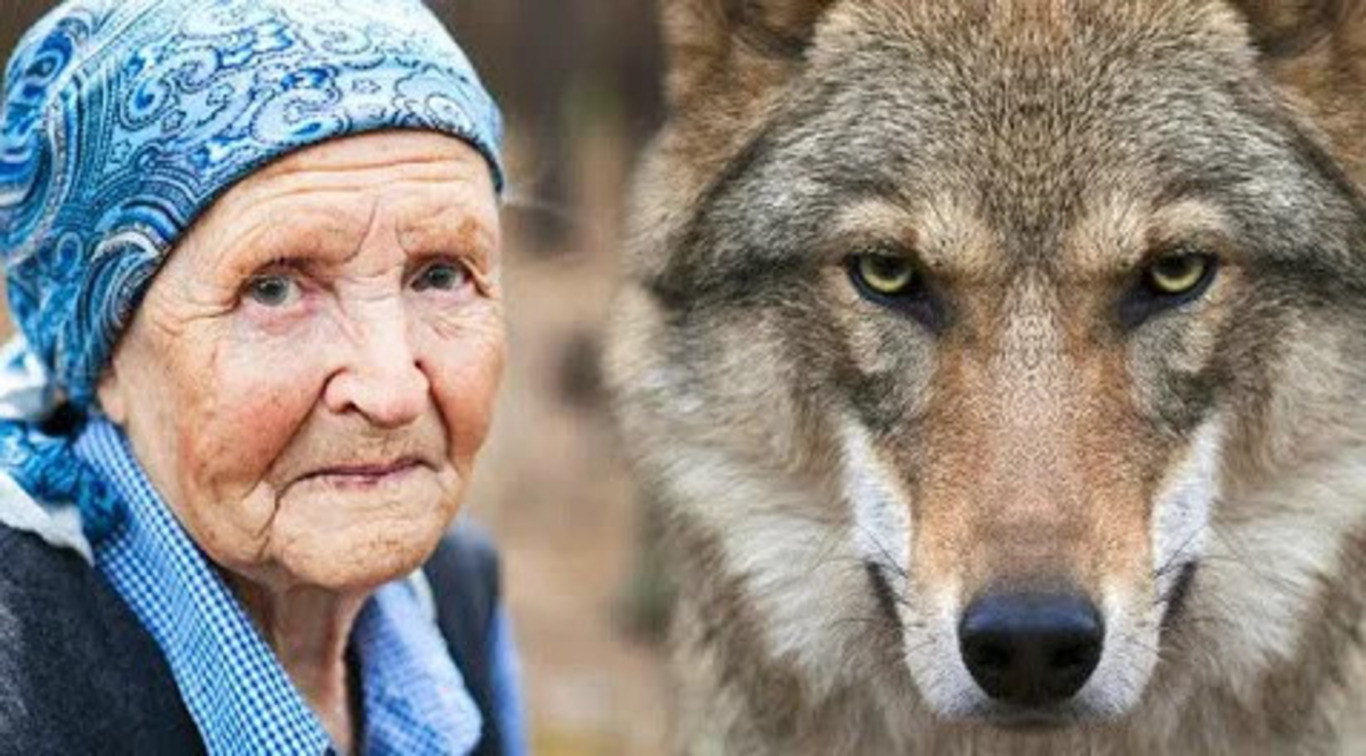 Бабушка и волк