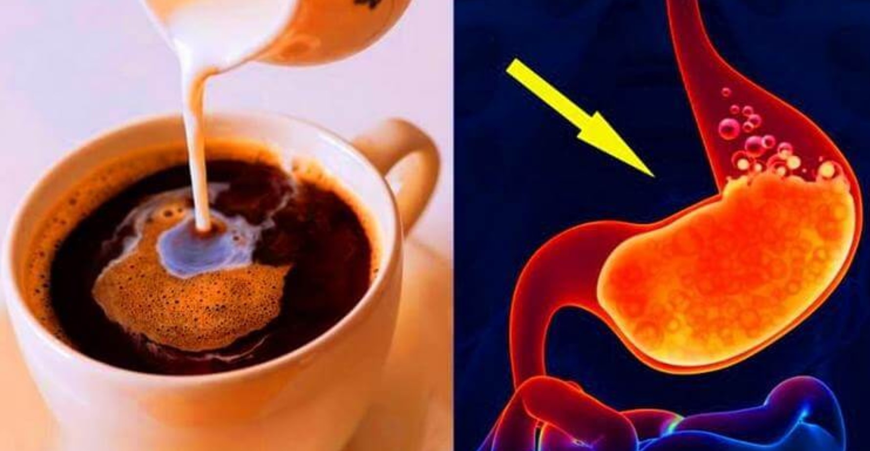 жженый кофе. кофе с утра на голодный желудок. девушка с кофе. кофе стимулирует тягу к сладкому. эспрессо кофе.