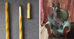 20 людей, яким пощастило відшукати в звичайному магазині дещо вельми незвичайне