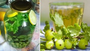 Компот “Мохіто” з аґрусу на зиму. Рецепт – бомба!
