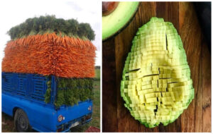 Люди діляться в мережі ідеальними речима, на які приємно дивитися: 12 фото