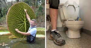 16 фотографій предметів і істот, чиї розміри заграють новими фарбами, якщо їх порівняти зі звичними речами
