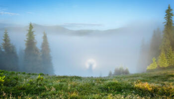 20 дивовижних фотографій туману для тих, хто обожнює осінні туманні ранки