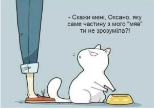 Смішні приколи та веселі меми