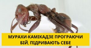 14 крутих фактів, про які не розповідала ваша вчителька з біології