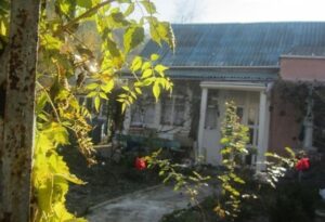 Я вирішила попросити зятя про одну послугу – допомогти з ремонтом на дачі
