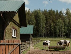 Микита не їхав – летів додому. Ще б пак, три роки не бачив рідного краю і коханої дружини!