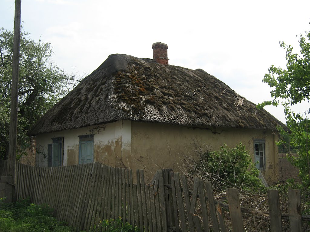 Украинский старый. Мазанка Украина 1960. Борщевский Винницкая область. Деревня в Украине. Старая хата.