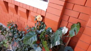Відмовилася дати зовиці грошей на лікування дитини, вже накипіло. Вони ще колишній борг не повернули. Думає, що ми ті купюри малюємо чи що?