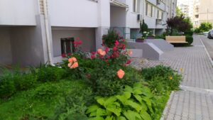 До нас приїхала моя мама з села. Тільки ми з нею зайшли в квартиру, як чоловік мені каже – нехай теща їде до своїх родичів. Я зібрала свої речі і поїхала разом з мамою