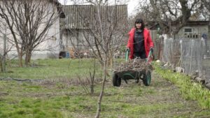 Я постійно допомагав тещі і тестю з господарством, та одного разу відмовився копати картоплю. Вони вирішили відімститись