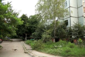 Наважилася тоді Уляна підняти п’яницю і волочити до себе до хати