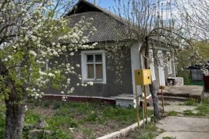 Свекруха переоформила дачу на себе і не сказала нам ні слова.